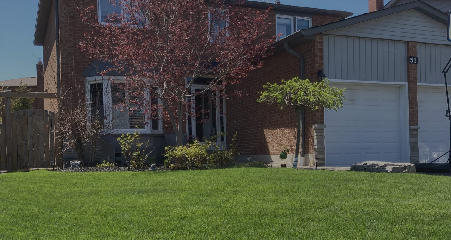 close up of lawn care services in front yard of toronto