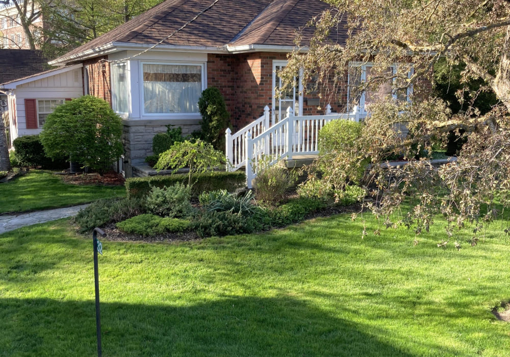 garden done by professional lawn care services