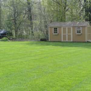 Shed and a freshly treated lawn.