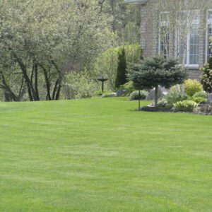 Lawn treatment outside of a house.