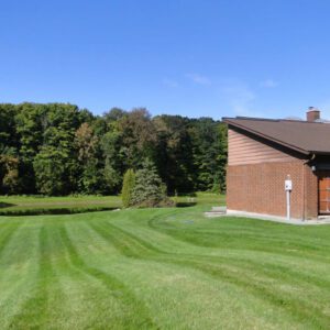 A freshly treated lawn and trees by professional lawn care company in toronto.