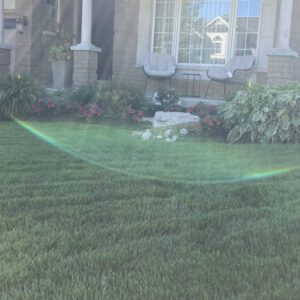 A lawn after lawn care services in front yard of a house in toronto.