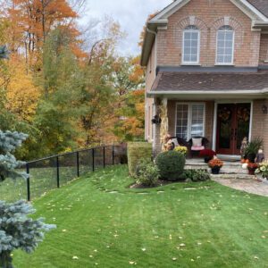 Lawn with leaves next to a house.