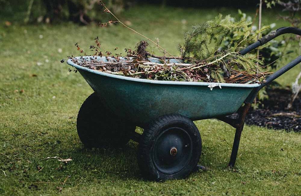 3 Common Ways to Dispose of Grass Clippings
