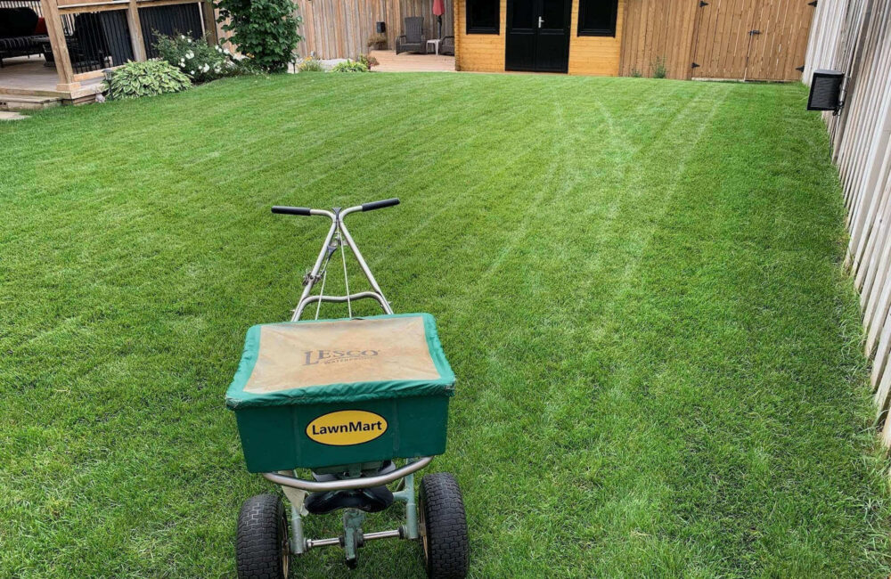 When Is the Right Time to Fertilize Your Lawn?