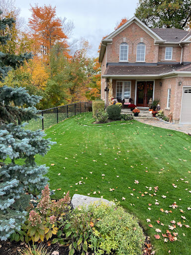 Seven Tips for Autumn Lawn Care in Toronto