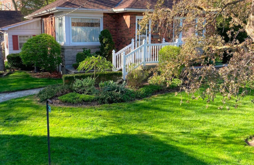 Six Things You Should Do for Your Lawn Before September Ends