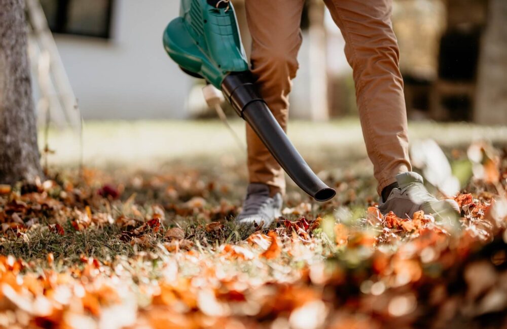 Raking, Blowing, or Mulching Leaves: Which Is Better for Your Lawn?