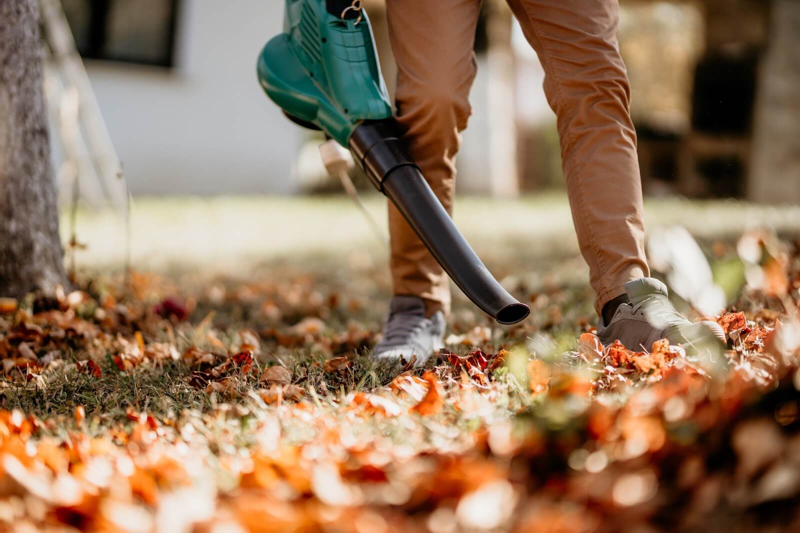 Man blowing leaves on a lawn.