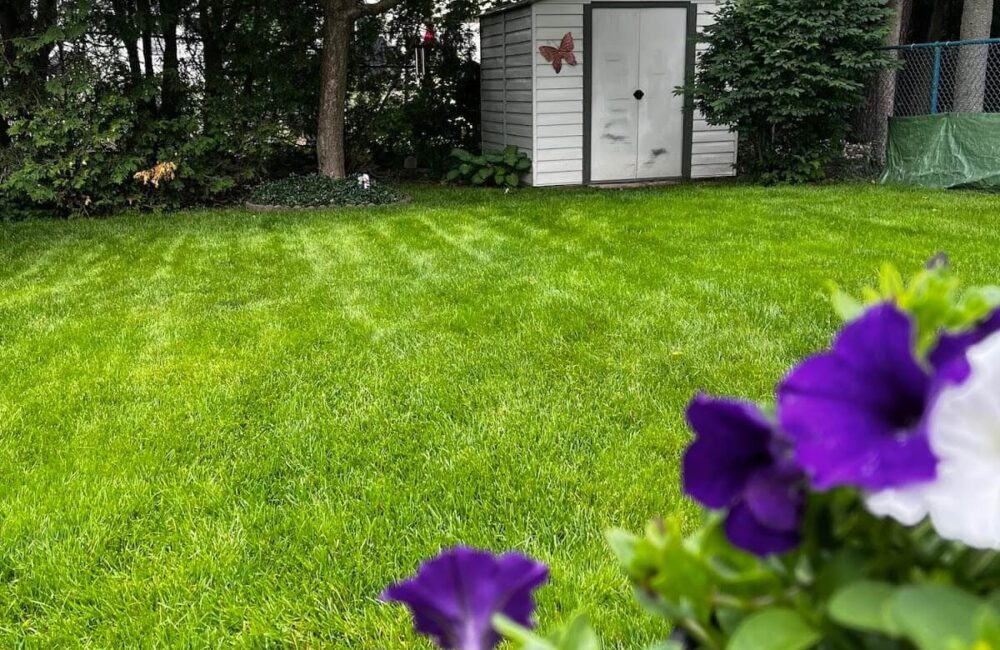 What Are Your New Year’s Lawn Care Resolutions?