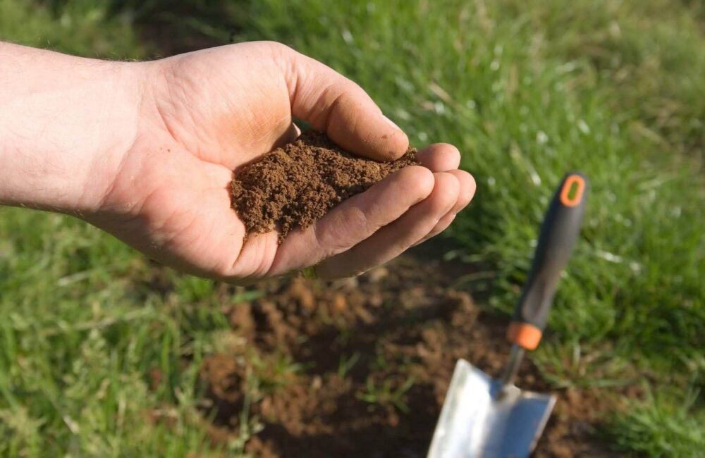 What Is the Role of Soil Testing in Early Spring Lawn Care?