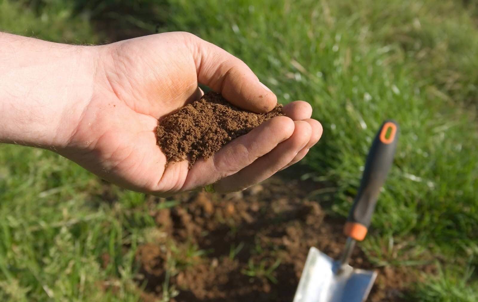 lawn aeration myths