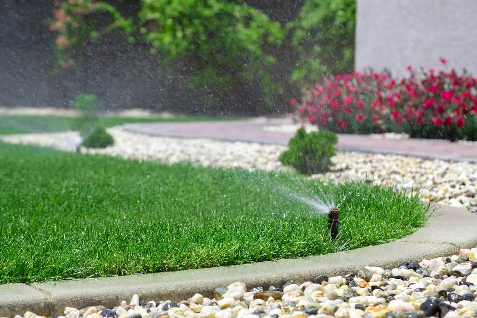 Sprinkler watering a lawn.