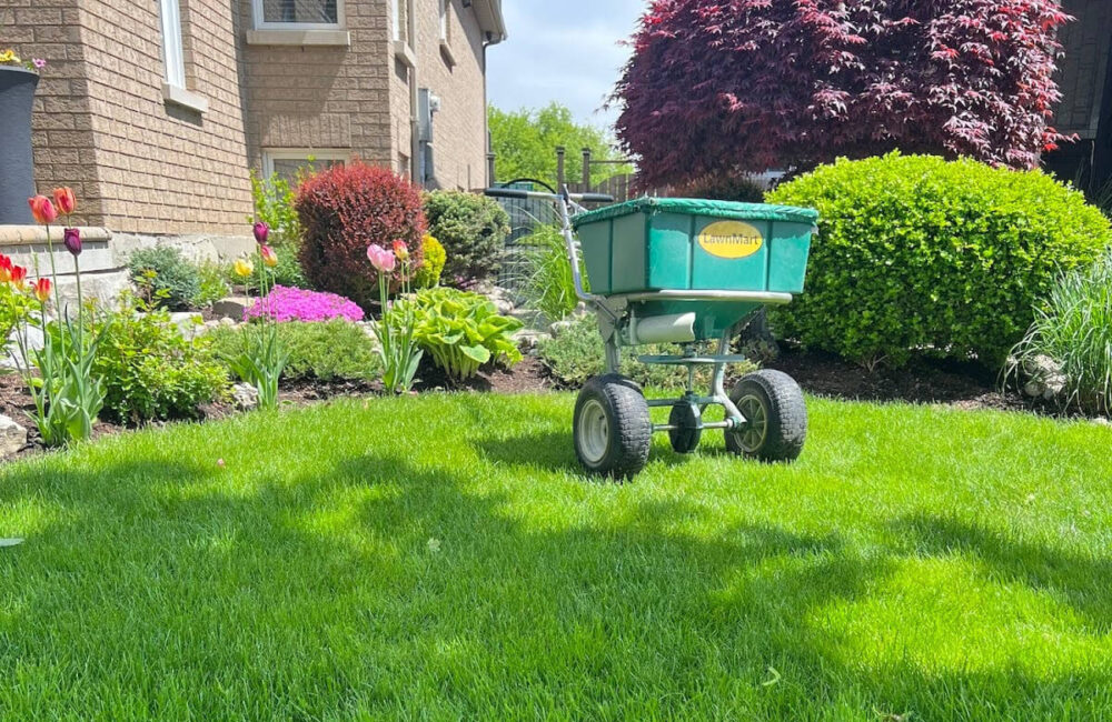 Why Try Organic Fertilizer for Your Business’ Lawn This Spring?