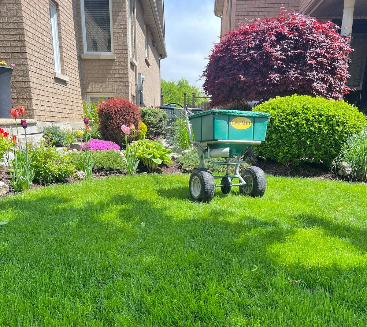 Organic fertilizer in a lawn.