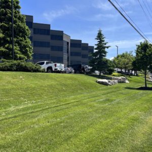 commercial lawn care services in ontario