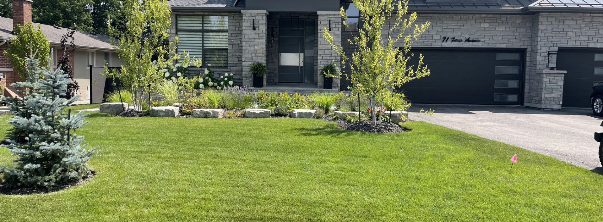 Signs Your Lawn Needs Dethatching