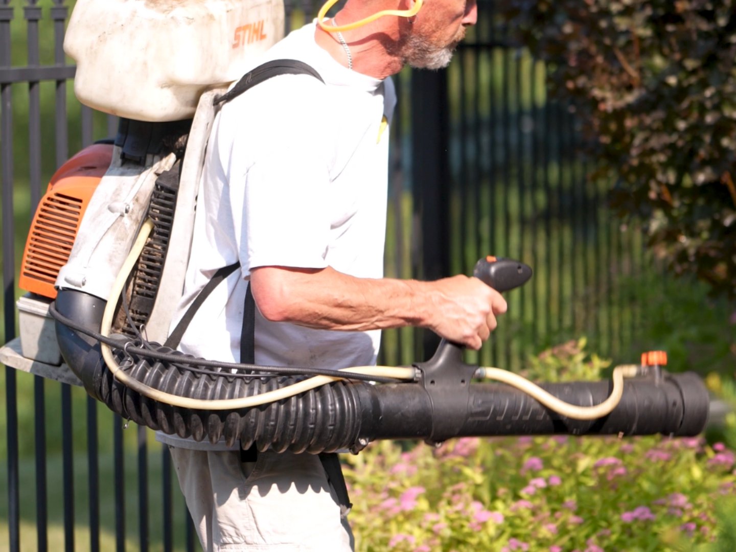 mosquito control seasonal maintenance