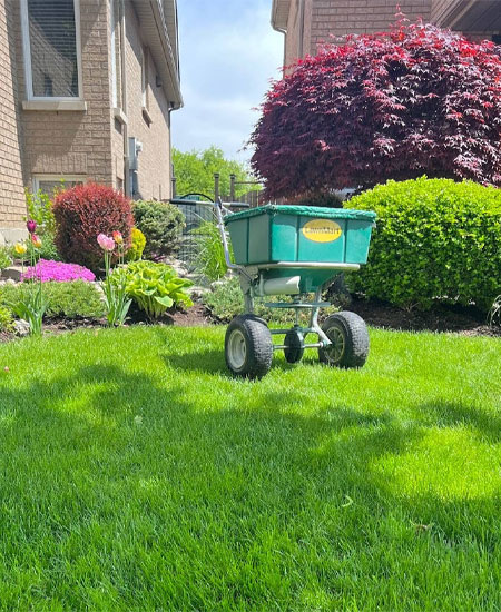 green lawn with cart