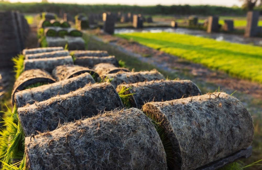 Naturally Grown Sod
